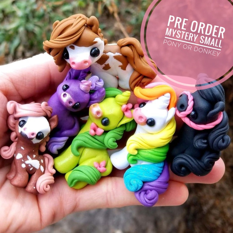 PRE ORDER Mystery Pony or Donkey