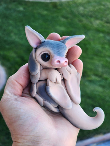 READY TO SHIP Armadillo