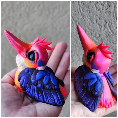 READY TO SHIP Oriental Dwarf Kingfisher