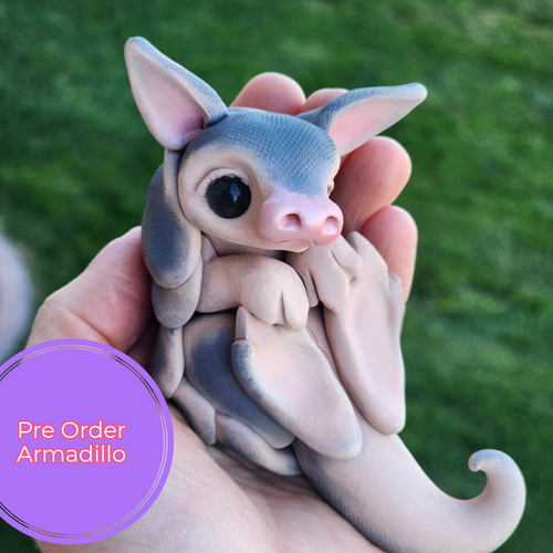 PRE ORDER Armadillo