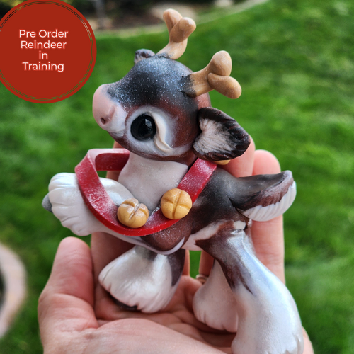 PRE ORDER Reindeer In Training
