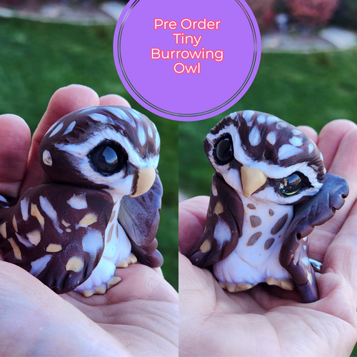 PRE ORDER Tiny Burrowing Owl